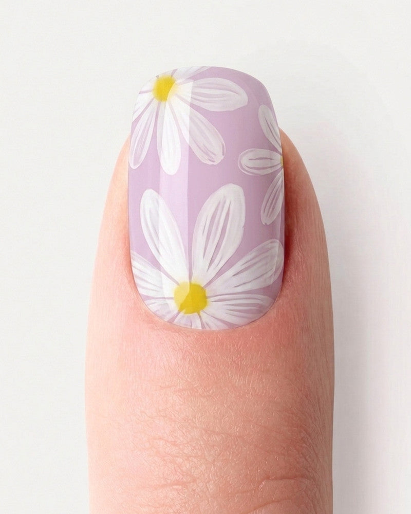 Daisy Field