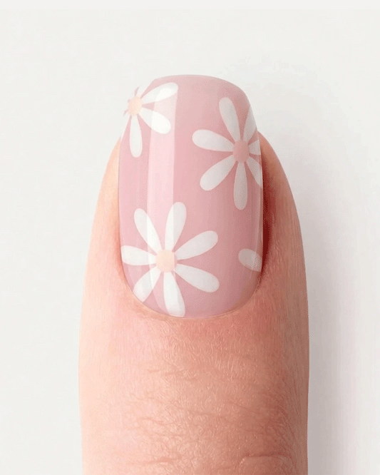 Daisy Dream