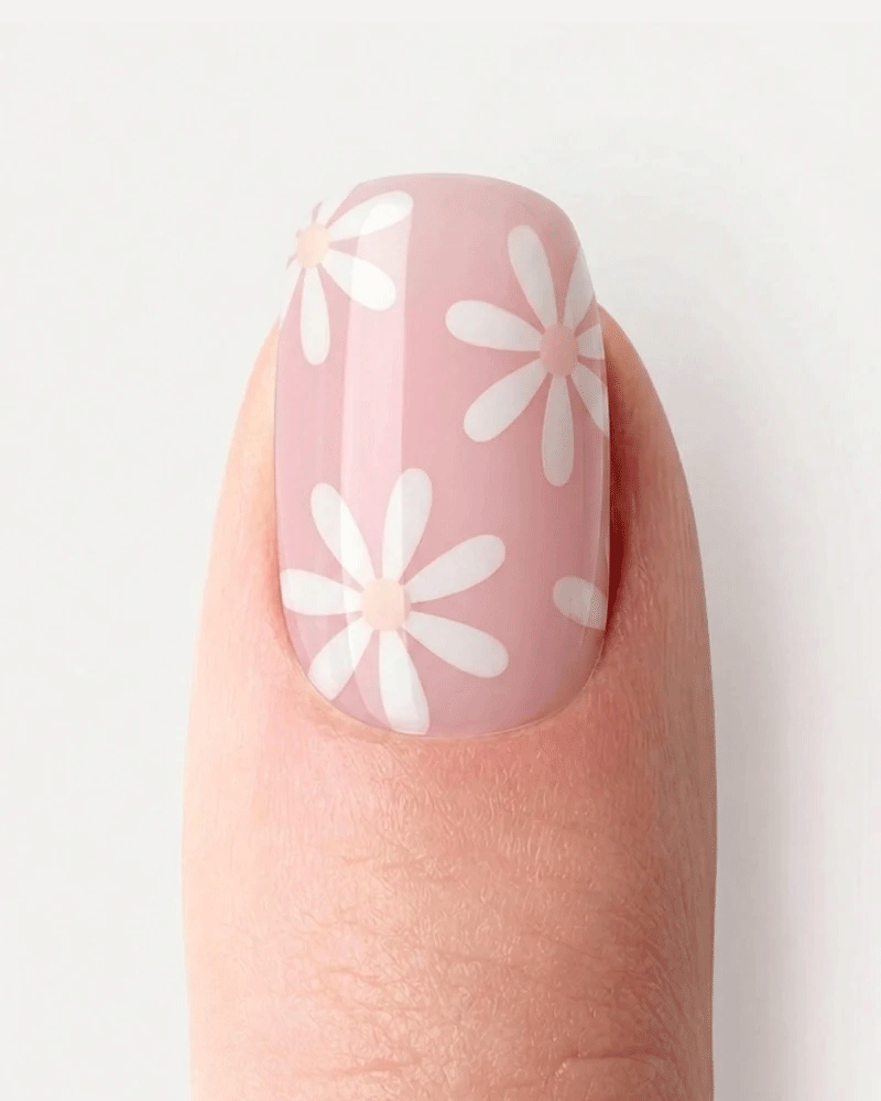 Daisy Dream