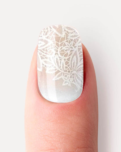 Ombre flower